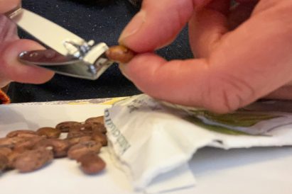 article image - seed1